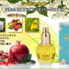 nini-japan-jasmine-oil-catalog-50ml